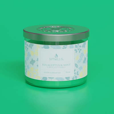 Eucalyptus Mint 3-Wick Scented Candle, 16 oz