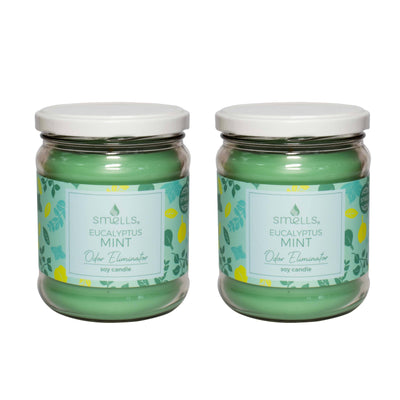 2 Pack - Eucalyptus Mint Odor Eliminator Scented Candle, 12 oz
