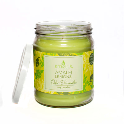 Amalfi Lemons Odor Eliminator Scented Candle, 12 oz