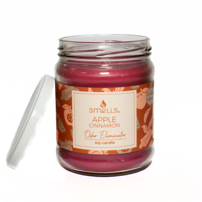 Apple Cinnamon Odor Eliminator Scented Candle, 12 oz