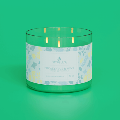 Eucalyptus Mint 3-Wick Scented Candle, 16 oz