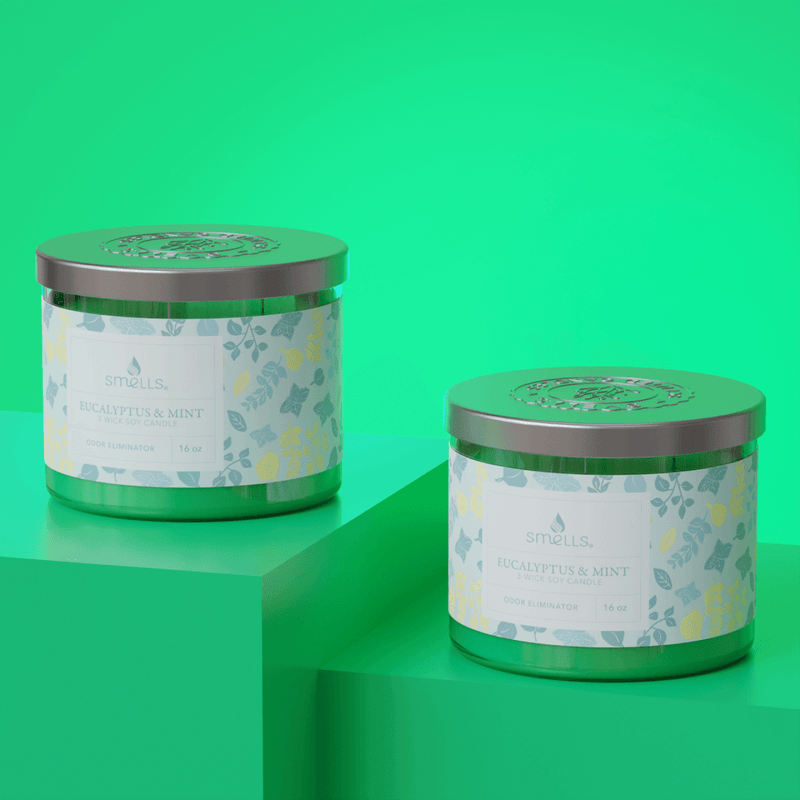 2 Pack - Eucalyptus Mint 3-Wick Scented Candle, 16 oz