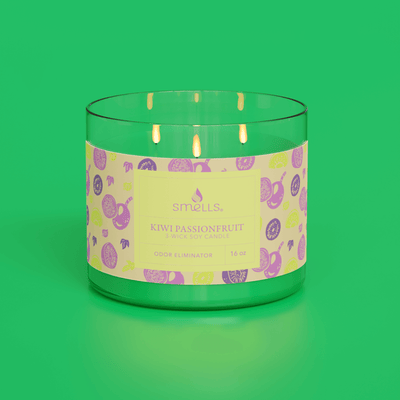 Kiwi & Passionfruit 3-Wick Scented Candle, 16 oz