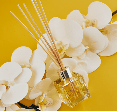 Reed Diffuser Aloha Vanilla Candle