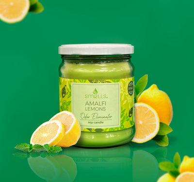 Amalfi Lemons Odor Eliminator 