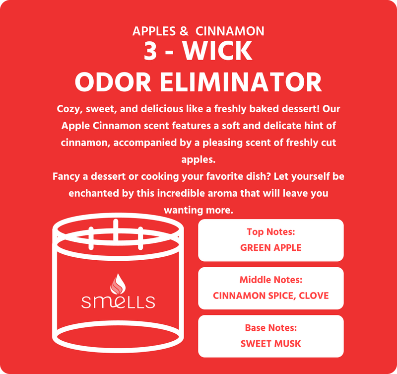 Description - Apple Cinnamon 3-Wick Scented Candle, 16 oz Success