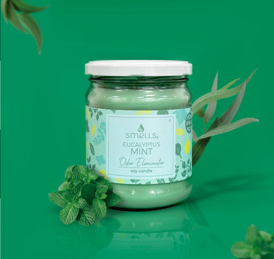 Eucalyptus Mint Odor Eliminator