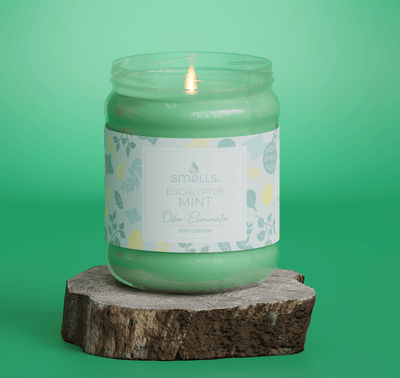 Eucalyptus Mint Odor Eliminator Scented Candle, 12 oz