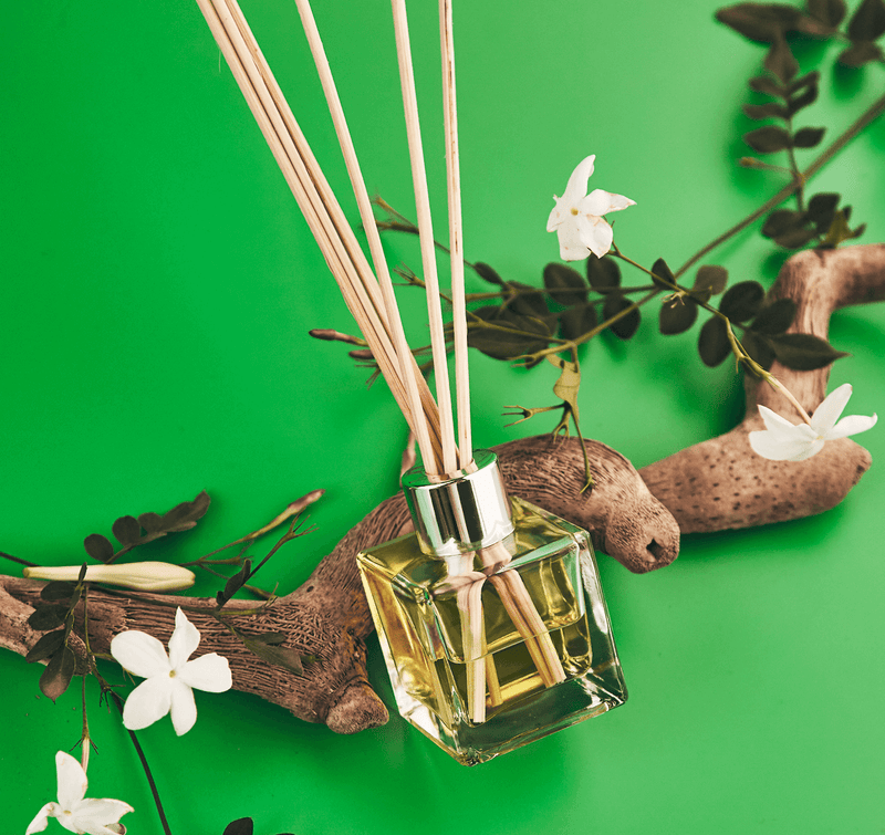 Jasmine Reed Diffuser