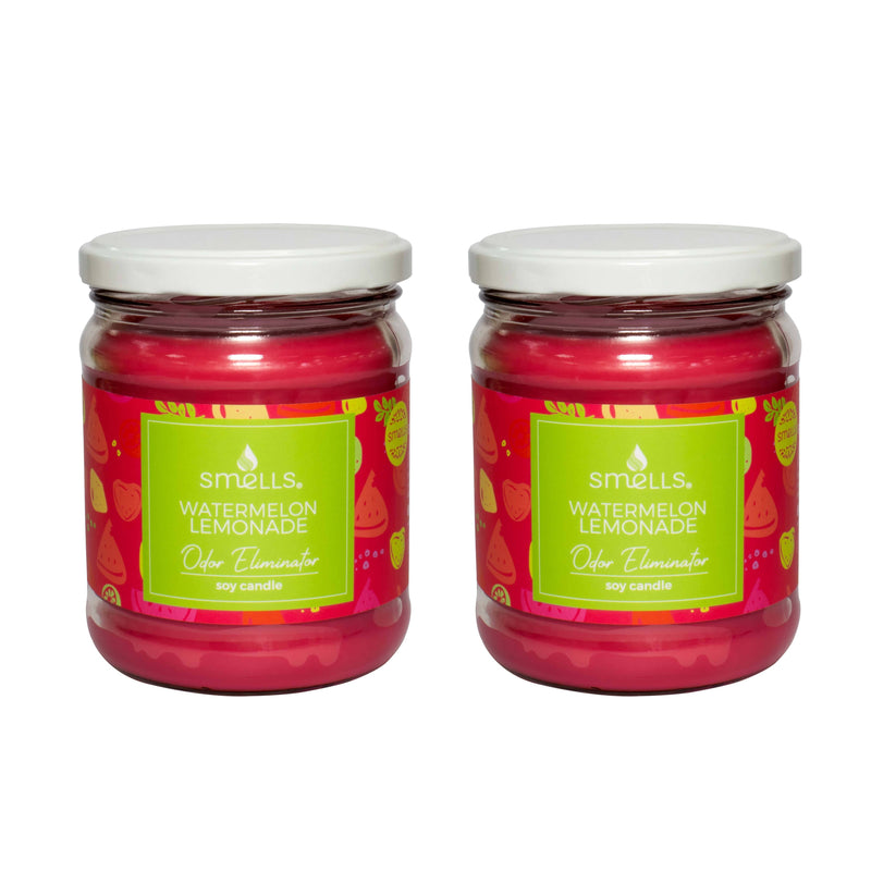 2 Pack - Watermelon Lemonade Odor Eliminator Scented Candle, 12 oz