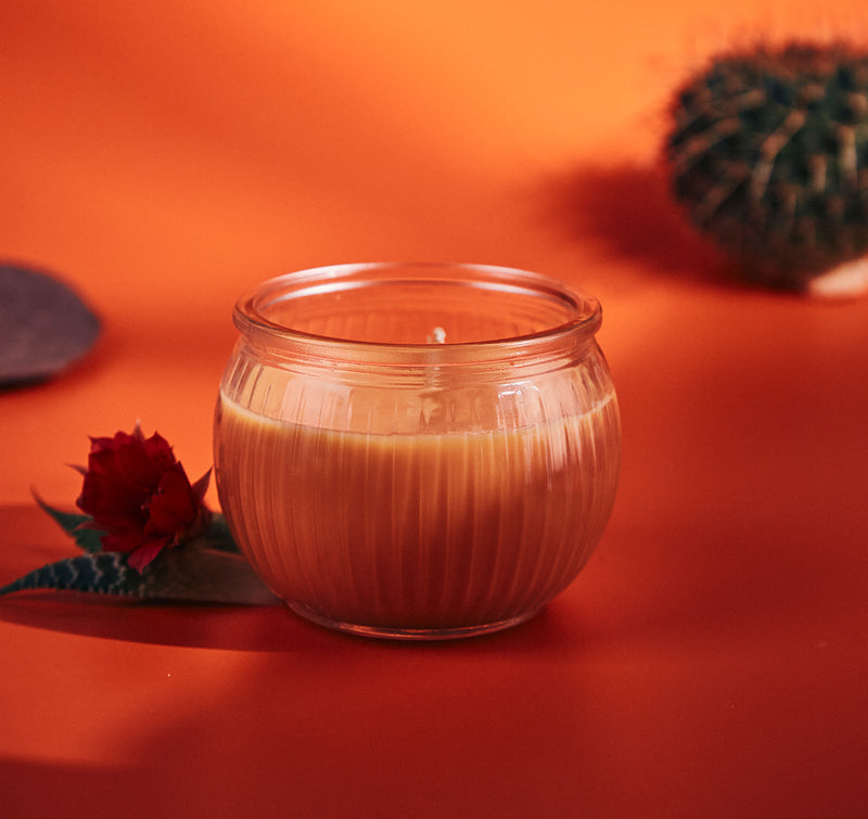 Cactus Blossom Scented Candle 4 oz