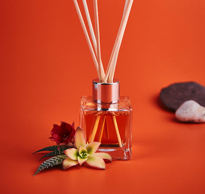 Cactus Blossom Reed Diffuser