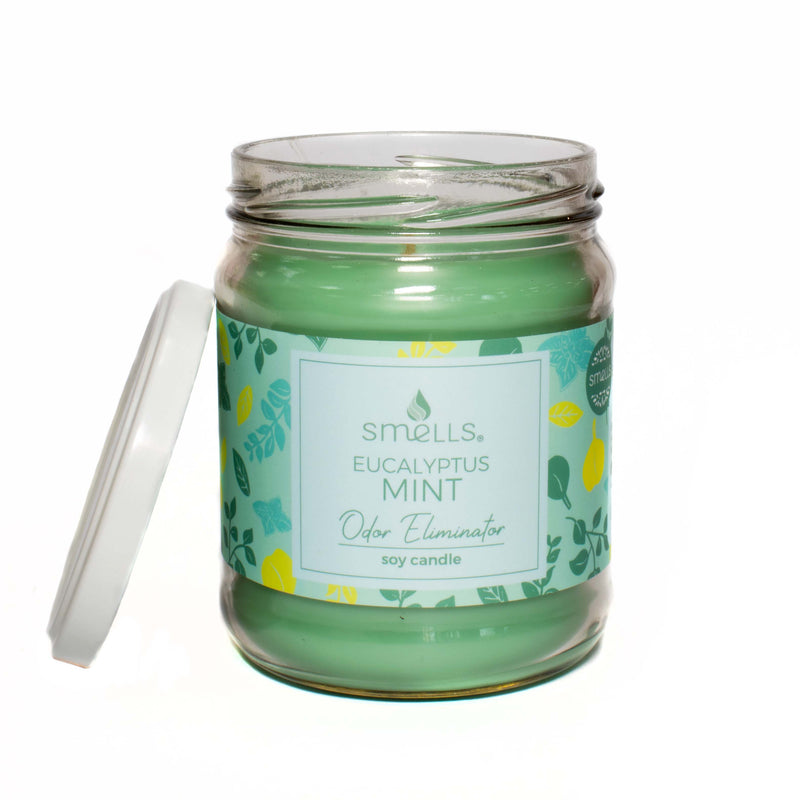 Eucalyptus Mint Odor Eliminator Scented Candle, 12 oz