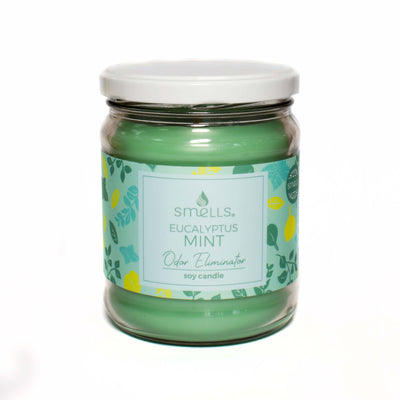 Eucalyptus Mint Odor Eliminator Scented Candle, 12 oz