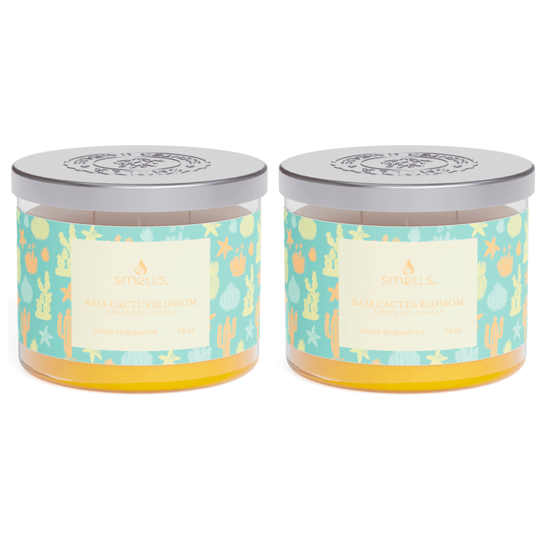 2 Pack - Baja Cactus Blossom 3-Wick Scented Candle, 16 oz