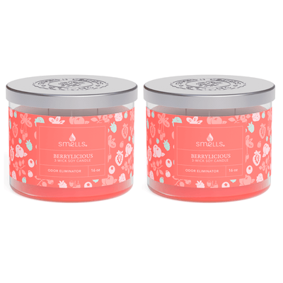 2 Pack - Berrylicious 3-Wick Scented Candle, 16 oz