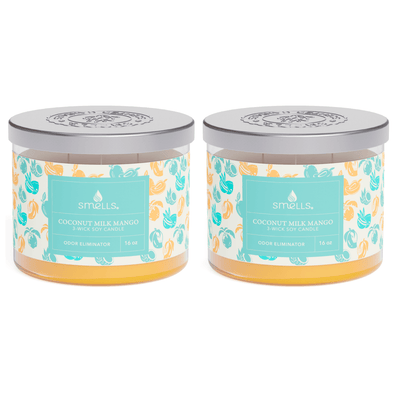 2 Pack - Coconut Milk & Mango 3-Wick Scented Candle, 16 oz