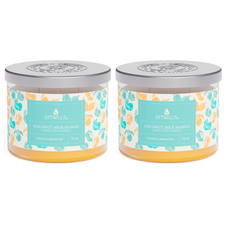 2 Pack - Coconut Milk & Mango 3-Wick Scented Candle, 16 oz