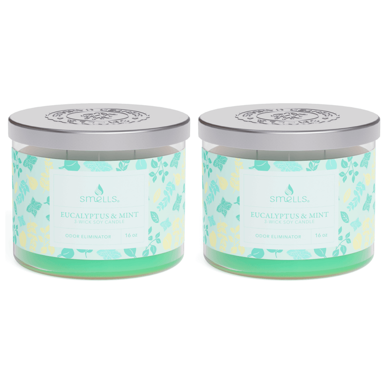 2 Pack - Eucalyptus Mint 3-Wick Scented Candle, 16 oz